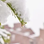 Herboully Apartment *