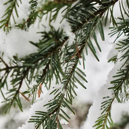 Herboully 아파트 *